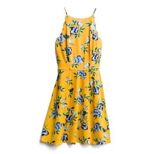 Fortune + Ivy Scalloped Detail Knit Dress